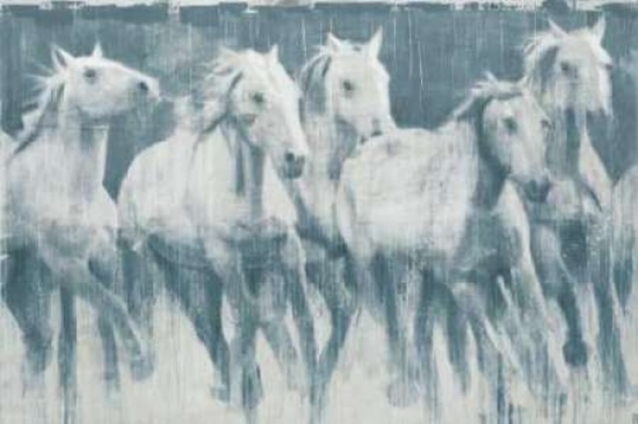 Equine Journey Poster Print by Stacy DAguiar - Item # VARPDXDSP103